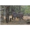 Image 4 : Leopard’s Valley Safaris – 1 Junior Hunter with 1 Parent, 7 Days