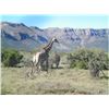 Image 8 : Leopard’s Valley Safaris – 1 Junior Hunter with 1 Parent, 7 Days