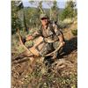 Image 4 : Lickity Split Outfitters – Utah Bull Elk Hunt, 1 Hunter