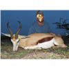 Image 11 : Kido Safaris, South Africa. 2 Hunters, 7 Days 1 Impala or 1 Warthog or Blesbuck
