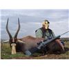Image 1 : Kido Safaris, South Africa. 2 Hunters, 7 Days 1 Impala or 1 Warthog or Blesbuck