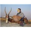 Image 6 : Kido Safaris, South Africa. 2 Hunters, 7 Days 1 Impala or 1 Warthog or Blesbuck