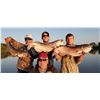 Image 1 : City Cats Guide Service – Trophy Catfishing Trip for 3 Anglers