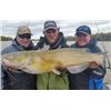 Image 3 : City Cats Guide Service – Trophy Catfishing Trip for 3 Anglers