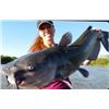 Image 5 : City Cats Guide Service – Trophy Catfishing Trip for 3 Anglers
