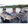 Image 7 : City Cats Guide Service – Trophy Catfishing Trip for 3 Anglers