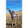 Image 6 : AZ B and B Outfitters – Arizona Sandhill Crane for 4 Hunters