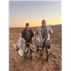 Image 8 : AZ B and B Outfitters – Arizona Sandhill Crane for 4 Hunters