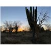 Image 3 : Sonora Mexico - Goulds Turkey Hunt – 2 Hunters, 3 Days