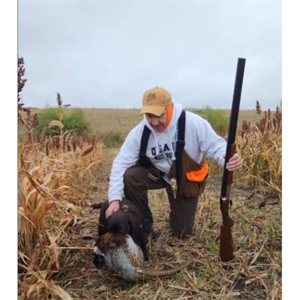 South Dakota Pheasant Hunt for 2 Hunters– Prairie Sky Ranch