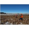 Image 3 : South Dakota Pheasant Hunt for 2 Hunters– Prairie Sky Ranch