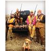 Image 4 : South Dakota Pheasant Hunt for 2 Hunters– Prairie Sky Ranch