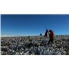 Image 5 : South Dakota Pheasant Hunt for 2 Hunters– Prairie Sky Ranch