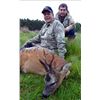 Image 10 : International Adventures Unlimited - Scotland Spring Roe Deer, 1 Hunter