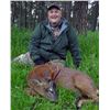 Image 2 : International Adventures Unlimited - Scotland Spring Roe Deer, 1 Hunter