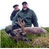 Image 3 : International Adventures Unlimited - Scotland Spring Roe Deer, 1 Hunter