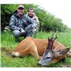 Image 4 : International Adventures Unlimited - Scotland Spring Roe Deer, 1 Hunter