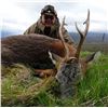 Image 5 : International Adventures Unlimited - Scotland Spring Roe Deer, 1 Hunter