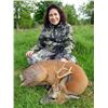 Image 7 : International Adventures Unlimited - Scotland Spring Roe Deer, 1 Hunter