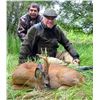 Image 8 : International Adventures Unlimited - Scotland Spring Roe Deer, 1 Hunter