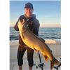 Image 12 : Kinn’s Sport Fishing – Winthrop Harbor, IL / Coho Salmon & Steelhead for 4 Anglers
