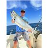 Image 13 : Kinn’s Sport Fishing – Winthrop Harbor, IL / Coho Salmon & Steelhead for 4 Anglers
