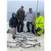 Image 4 : Kinn’s Sport Fishing – Winthrop Harbor, IL / Coho Salmon & Steelhead for 4 Anglers