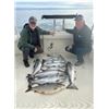 Image 5 : Kinn’s Sport Fishing – Winthrop Harbor, IL / Coho Salmon & Steelhead for 4 Anglers