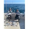 Image 6 : Kinn’s Sport Fishing – Winthrop Harbor, IL / Coho Salmon & Steelhead for 4 Anglers