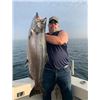 Image 9 : Kinn’s Sport Fishing – Winthrop Harbor, IL / Coho Salmon & Steelhead for 4 Anglers