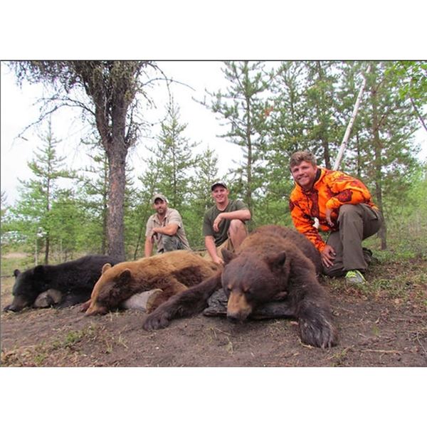 Sherwood Outfitters-6 Day Alberta Black Bear Hunt for 2 Hunters