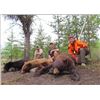 Image 1 : Sherwood Outfitters-6 Day Alberta Black Bear Hunt for 2 Hunters