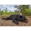 Image 2 : Sherwood Outfitters-6 Day Alberta Black Bear Hunt for 2 Hunters
