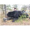 Image 3 : Sherwood Outfitters-6 Day Alberta Black Bear Hunt for 2 Hunters