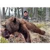 Image 7 : Sherwood Outfitters-6 Day Alberta Black Bear Hunt for 2 Hunters