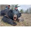 Image 8 : Sherwood Outfitters-6 Day Alberta Black Bear Hunt for 2 Hunters