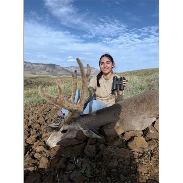 AZ B and B Outfitters – Arizona Mule Deer or Couse Deer for 2 Hunters (Archery or Rifle)