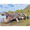 Image 11 : Africa Maximum Safaris-2 Hunters, 5 Species (1 each) & 2 Observers
