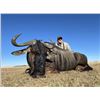 Image 1 : Africa Maximum Safaris-2 Hunters, 5 Species (1 each) & 2 Observers