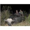 Image 3 : Leopard’s Valley Safaris – 7 Day Cape Buffalo Hunt, 1 Hunter & 1 Observer ($5,000 