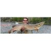 Image 1 : Lawrence Bay Lodge Fly-In Fishing Trip – Saskatchewan, 4 Anglers