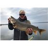 Image 4 : Lawrence Bay Lodge Fly-In Fishing Trip – Saskatchewan, 4 Anglers