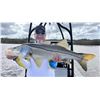 Image 4 : Fish Bonz Charters 2 Day Trophy Fishing for 2 Angers
