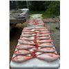 Image 2 : Cold Water Outfitters – North Carolina Deep Sea Fishing 2 Anglers 3 Day/3 Night