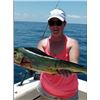 Image 5 : Cold Water Outfitters – North Carolina Deep Sea Fishing 2 Anglers 3 Day/3 Night