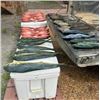 Image 9 : Cold Water Outfitters – North Carolina Deep Sea Fishing 2 Anglers 3 Day/3 Night