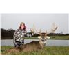 Image 14 : Briarwood Sporting Club - Ohio Whitetail Hunt, $6,400 Credit to 2 Hunters, 3 Days