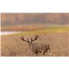Image 3 : Briarwood Sporting Club - Ohio Whitetail Hunt, $6,400 Credit to 2 Hunters, 3 Days