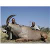 Image 13 : The Sporting Trader – Namibia Plains Game Hunt 2 Hunters 5 Days