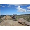 Image 5 : The Sporting Trader – Namibia Plains Game Hunt 2 Hunters 5 Days